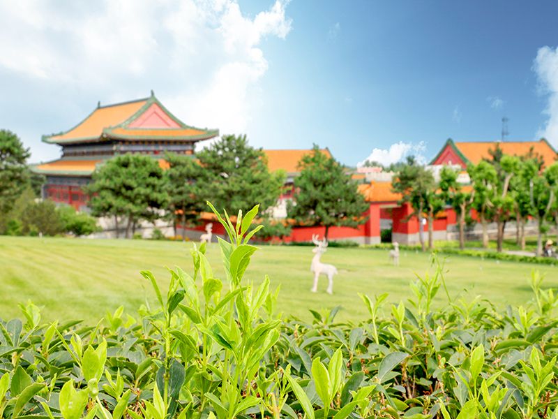 去八达岭公墓怎么走（ 墓地里的环境怎么样）